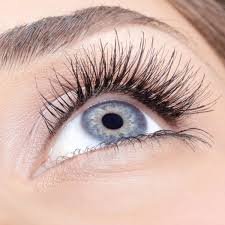 Eye lash lift and tint certificate